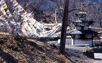 Jomsom Muktinath Trekking